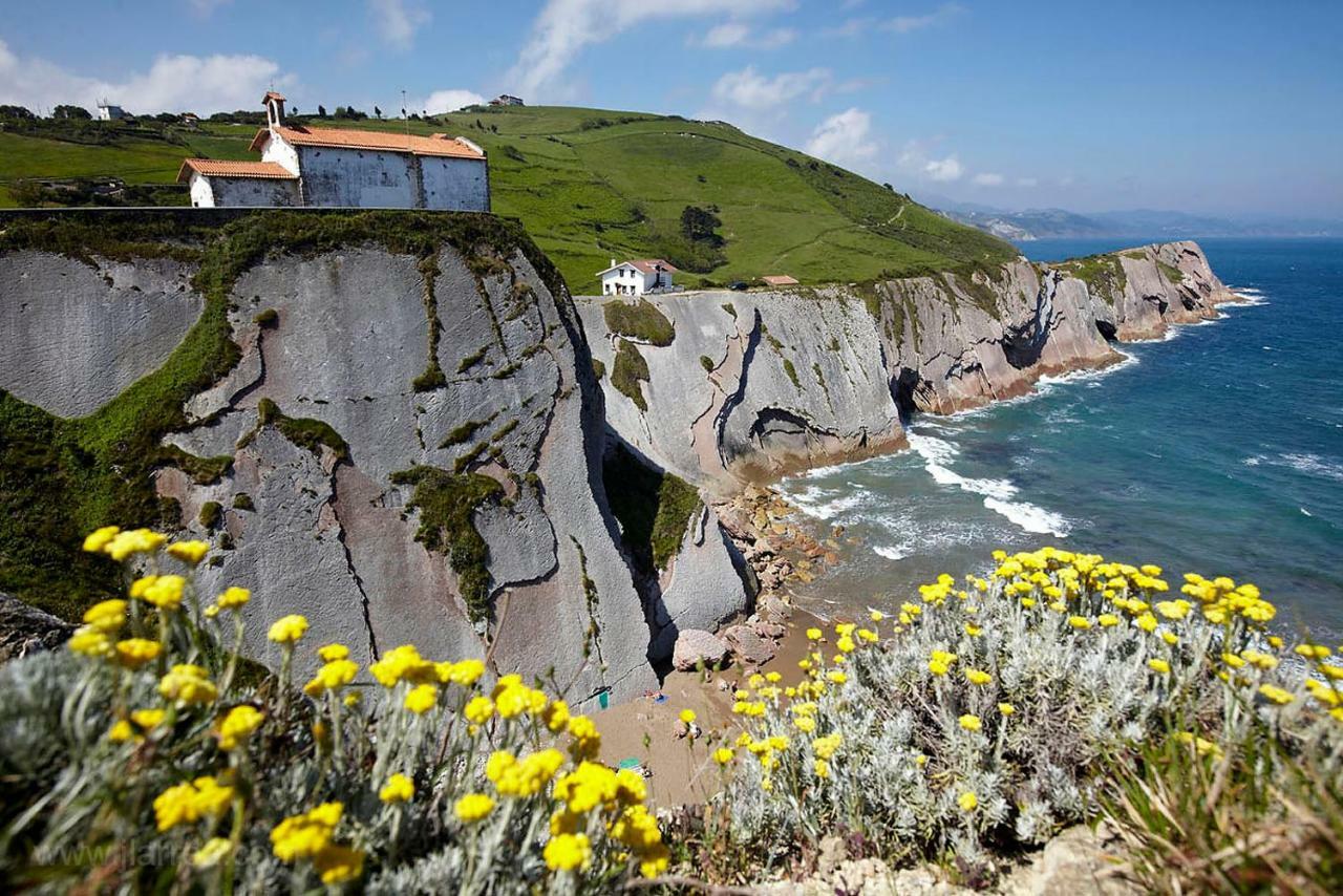 Urain Suites - Apartments At Flysch-Coast Zumaia Dış mekan fotoğraf